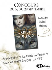 Résultat du concours La Meute du phénix 1