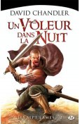 Un voleur dans la nuit