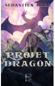 Projet Dragon