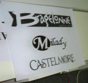 Planning prévisionnel Bragelonne/Milady/Castelmore