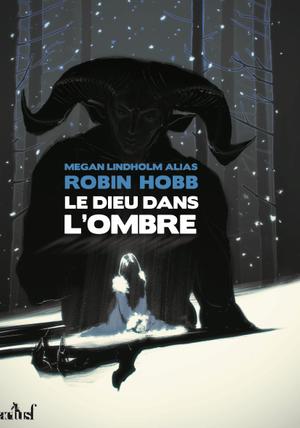 Le Dieu dans l'Ombre - Megan Lindholm