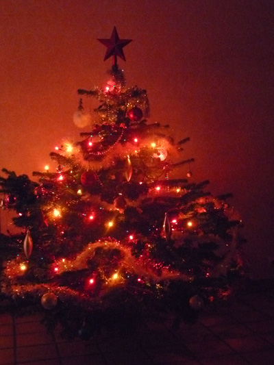 Le sapin de Chani